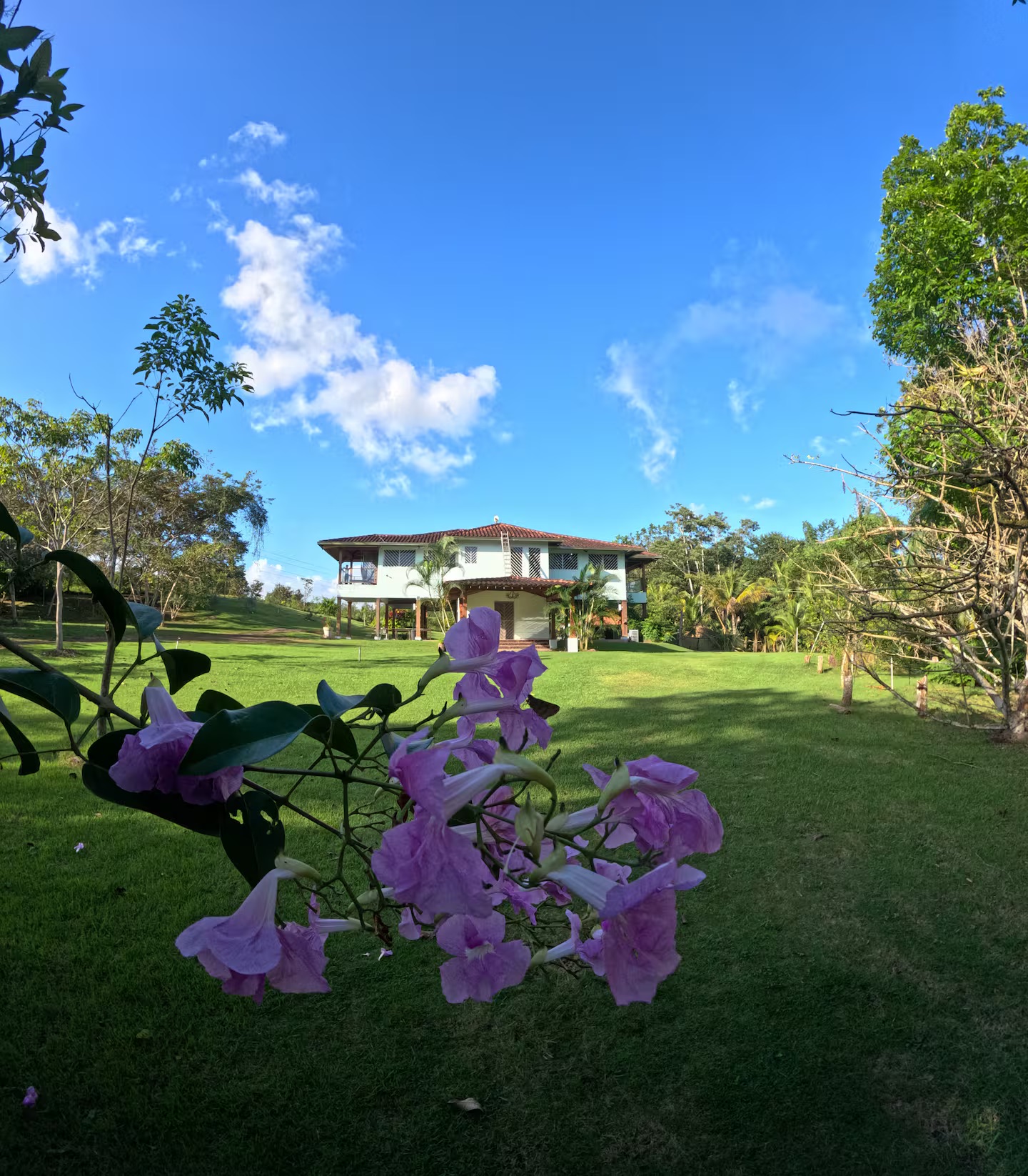 Jardines de Finca Los Caobos