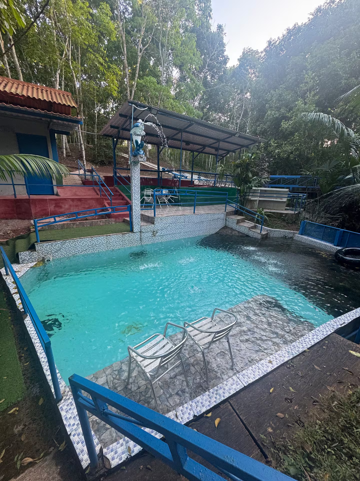 Piscina privada de Finca Los Caobos rodeada de vegetación